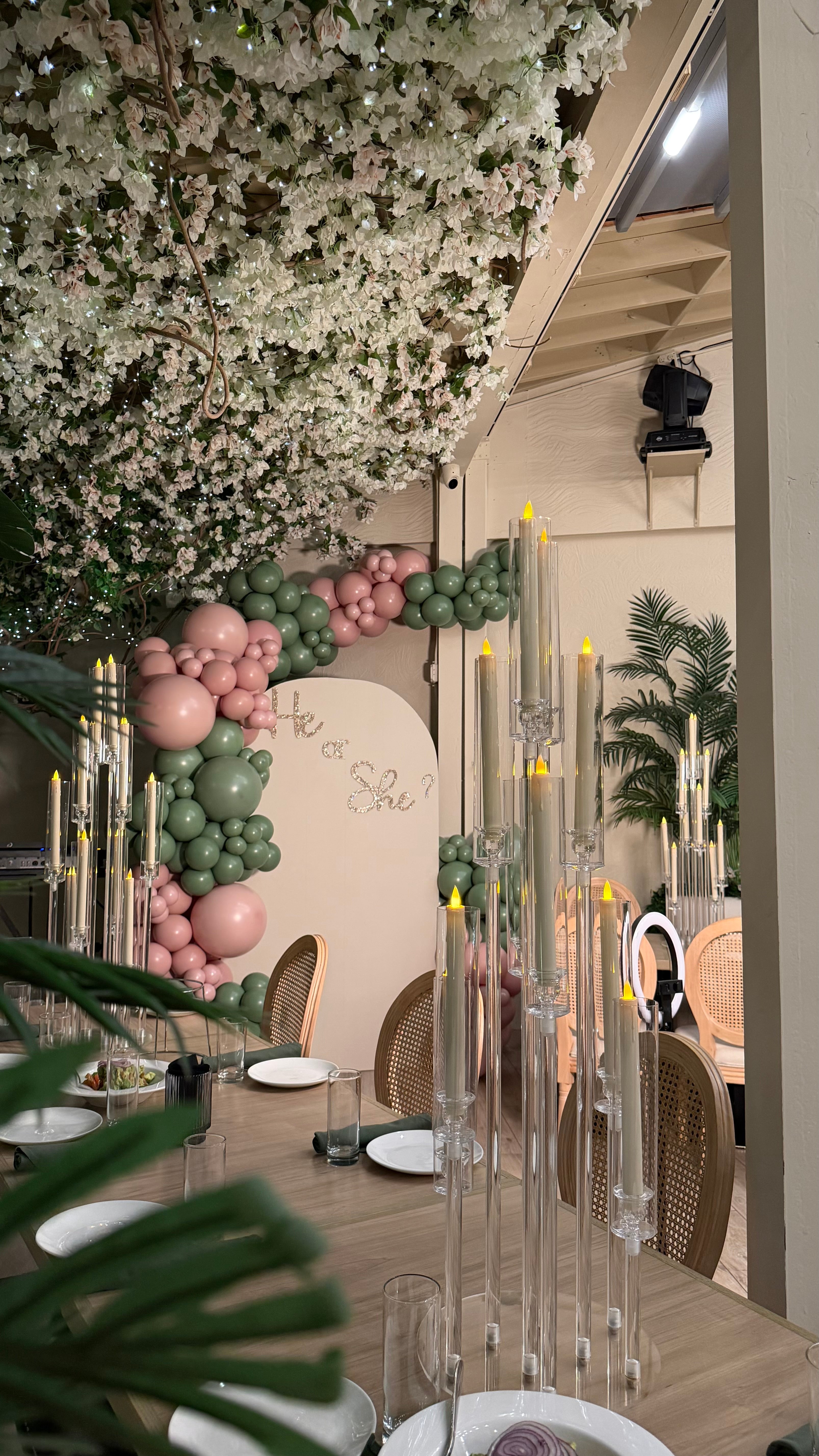 Gender Reveal Balloon Backdrop NYC | Custom He or She Event Decor