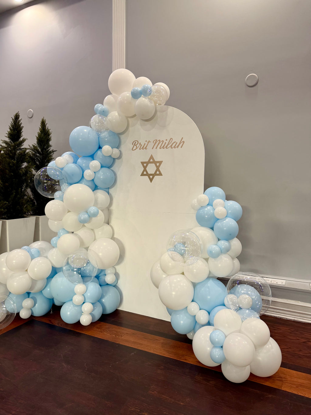 Brit Milah Balloon Backdrop NYC | Custom Bris Decoration & Event Decor